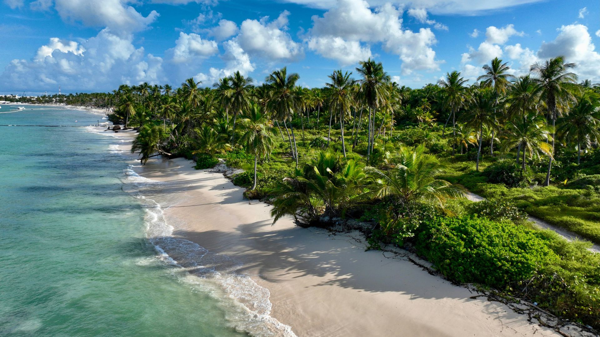 PUNTA CANA