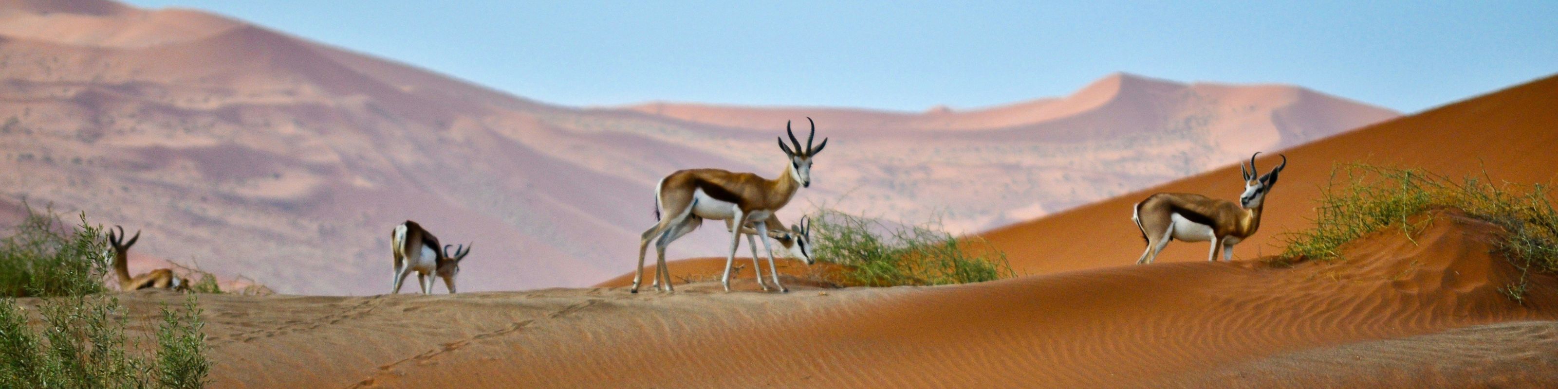 WINDHOEK